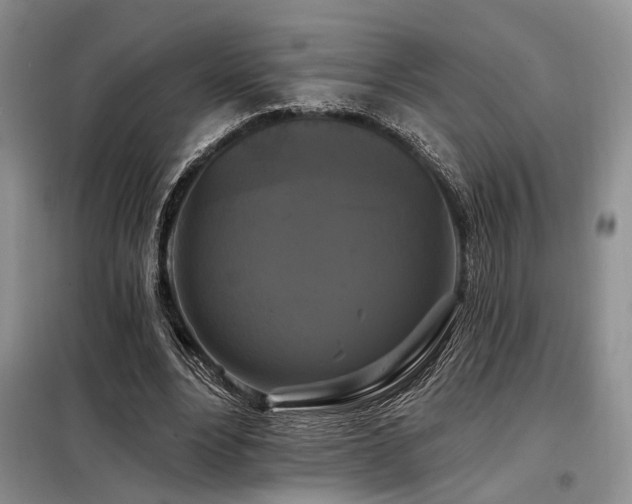 X0000098130488200804171525