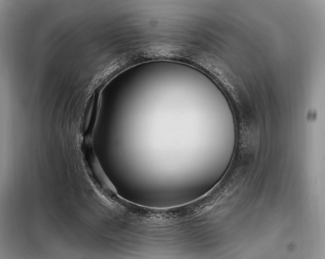 X0000098130489200804171525