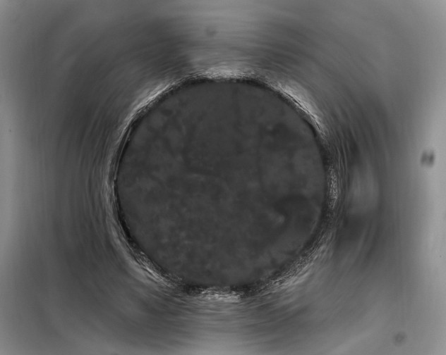 X0000098130491200804171525