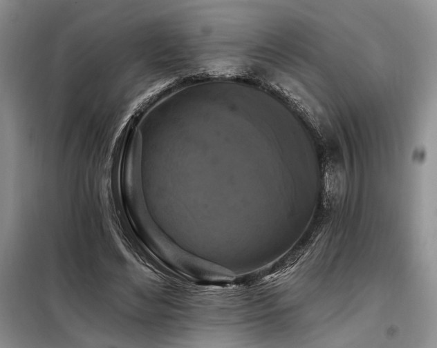 X0000098130492200804171525