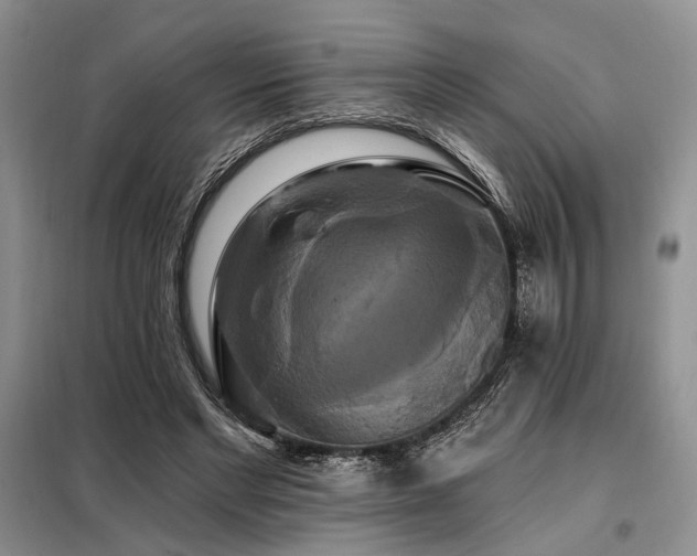 X0000098130493200804171525