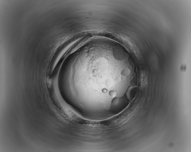 X0000098130495200804171525
