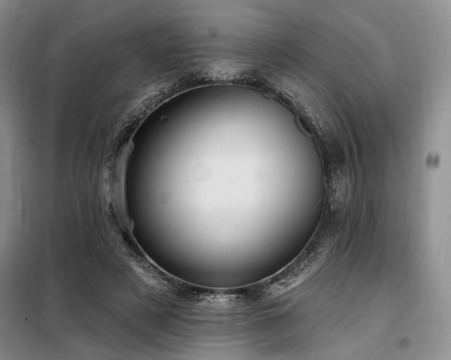 X0000098130497200804171525