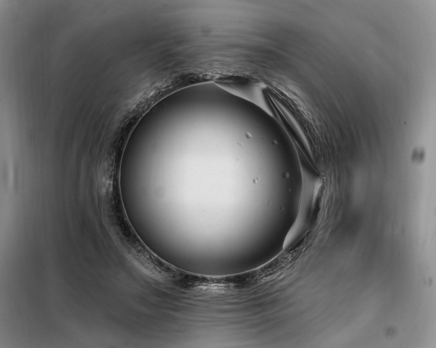 X0000098130499200804171525