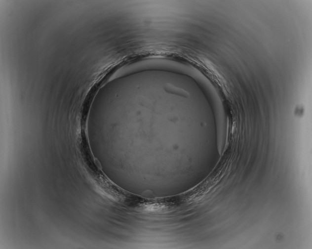 X0000098130500200804171525