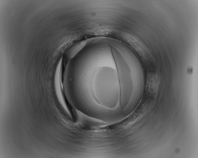 X0000098130501200804171525
