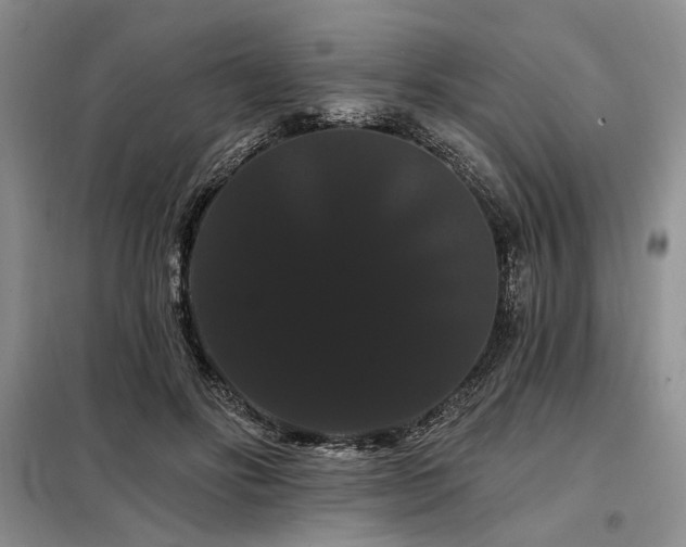 X0000098130502200804171525