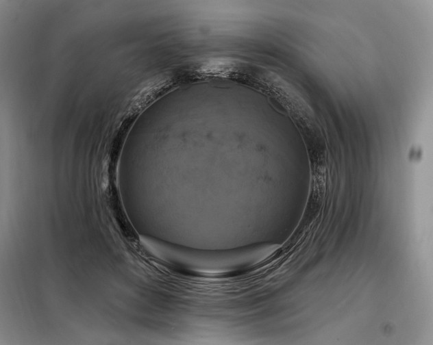 X0000098130504200804171525