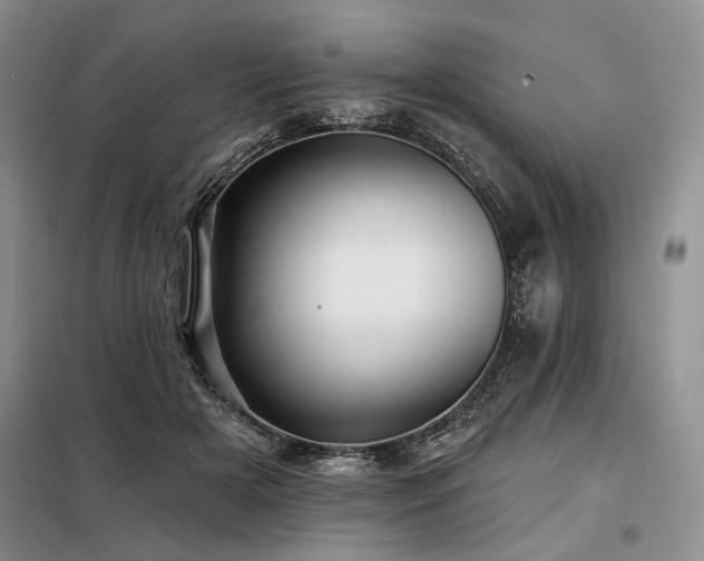 X0000098130505200804171525