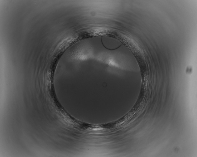 X0000098130506200804171525