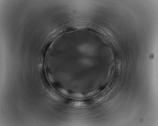 X0000098130507200804171525
