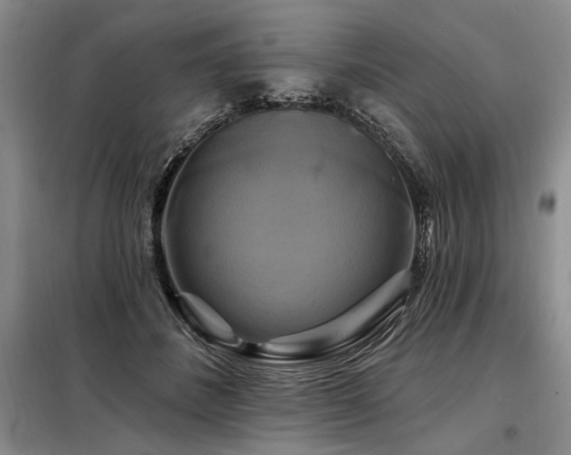 X0000098130508200804171525