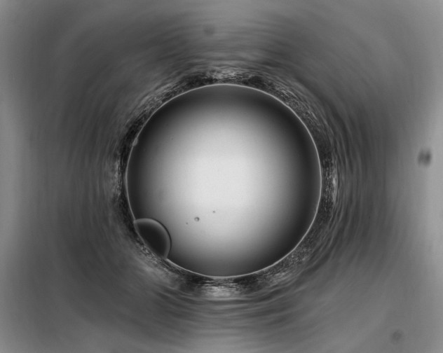 X0000098130510200804171525