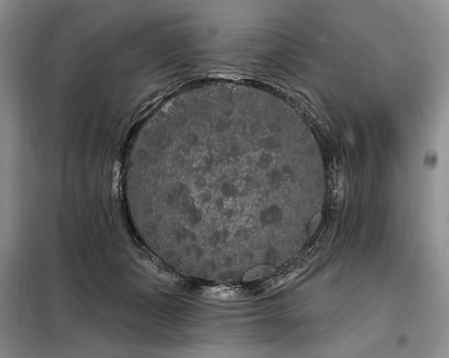 X0000098130511200804171525