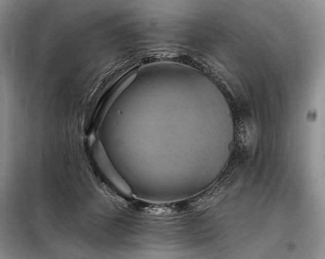X0000098130512200804171525