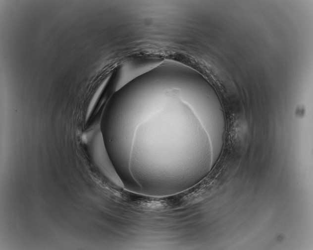 X0000098130513200804171525