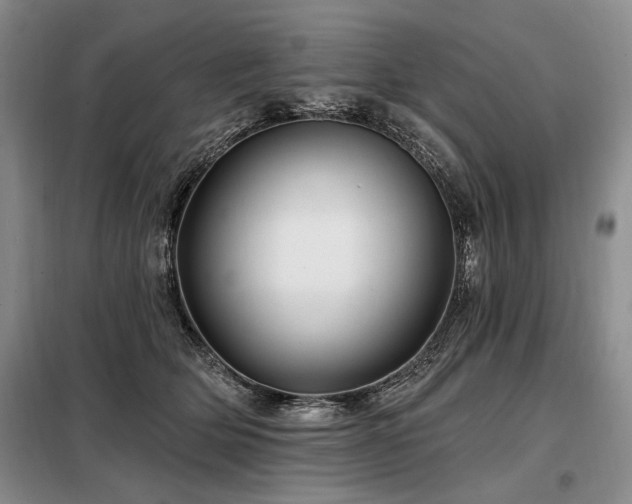 X0000098130514200804171525