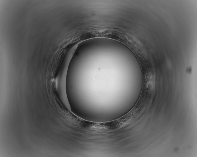 X0000098130515200804171525