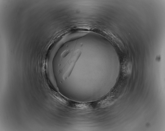 X0000098130516200804171525