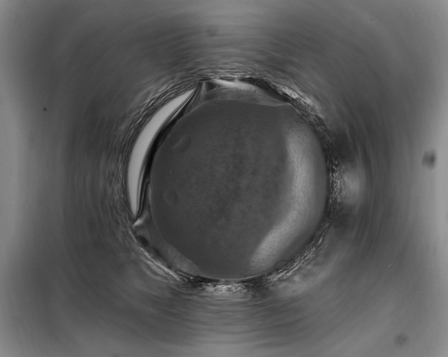 X0000098130517200804171525