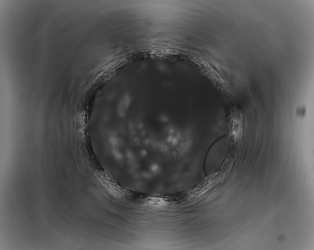 X0000098130519200804171525