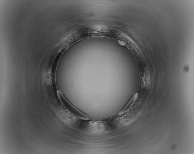 X0000098130520200804171525