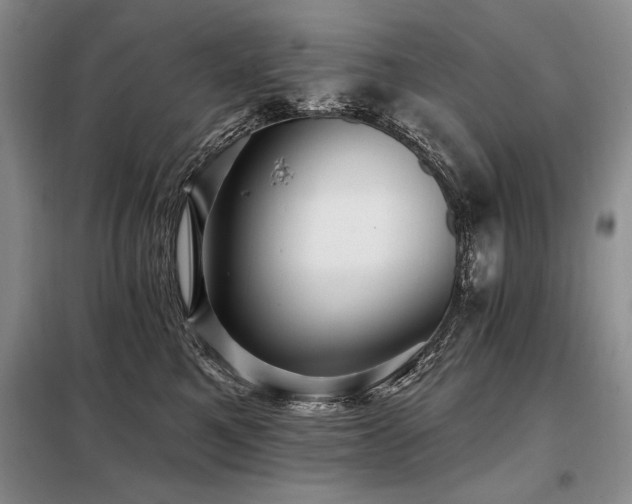 X0000098130521200804171525