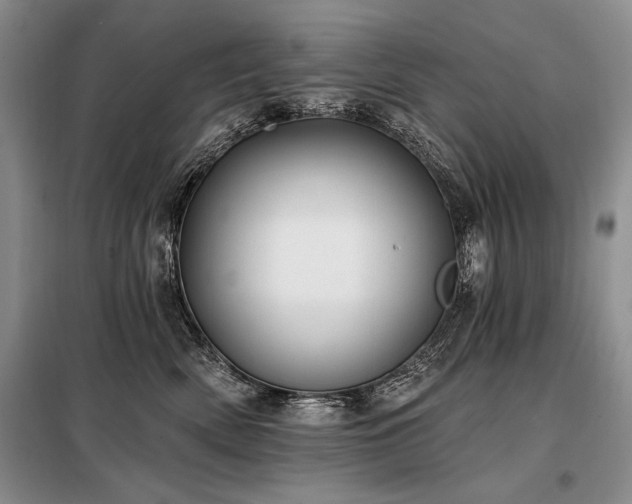 X0000098130522200804171525