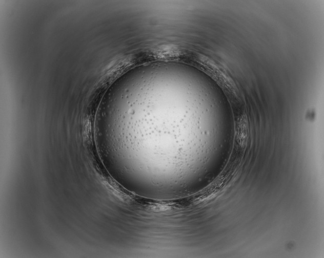 X0000098130523200804171525