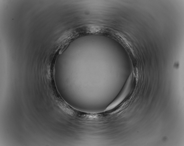 X0000098130524200804171525