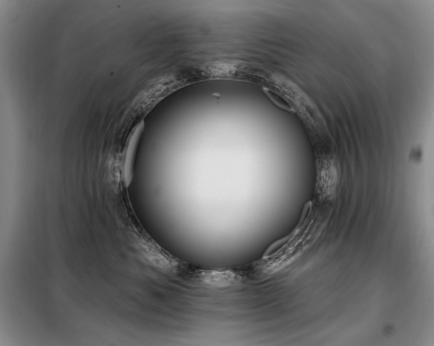 X0000098130525200804171525