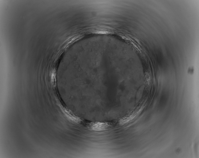 X0000098130527200804171525