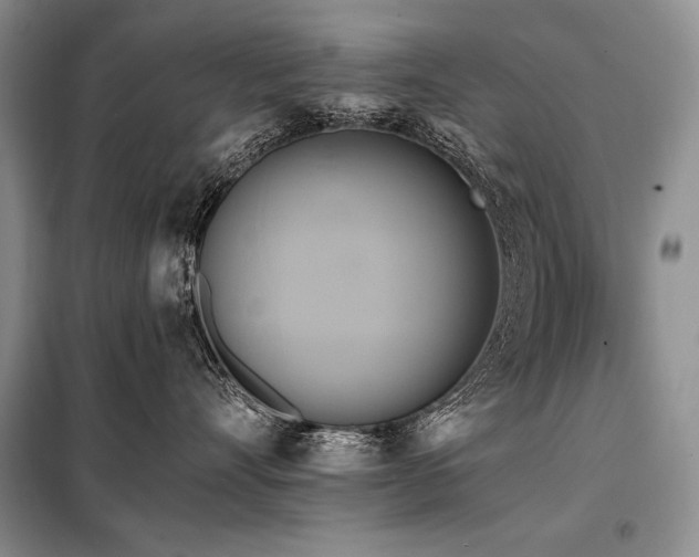 X0000098130528200804171525