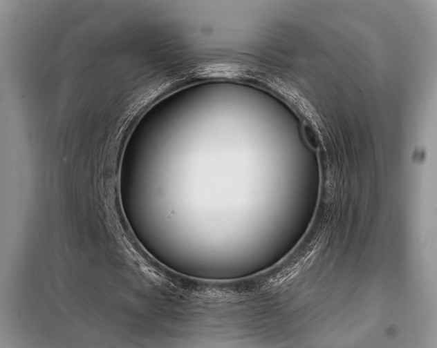 X0000098130529200804171524