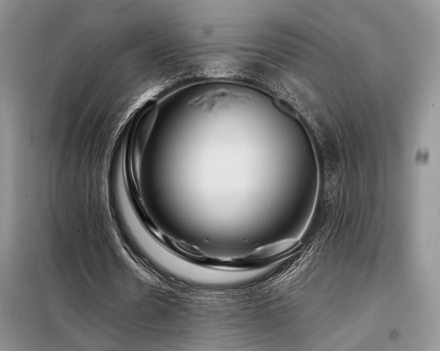 X0000098130530200804171524