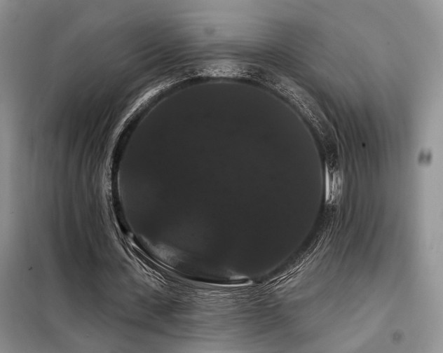 X0000098130531200804171524