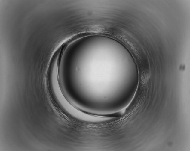 X0000098130532200804171524