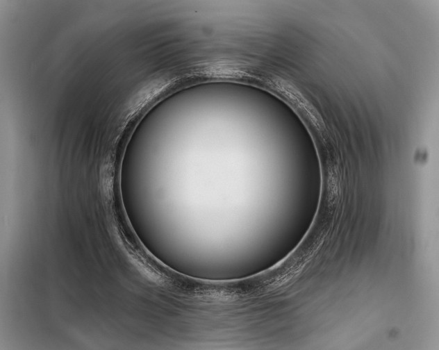 X0000098130533200804171524