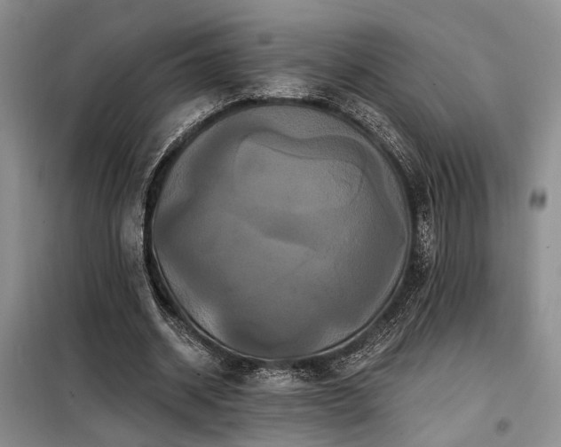 X0000098130534200804171524