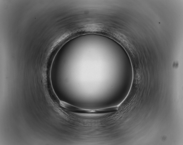 X0000098130535200804171524