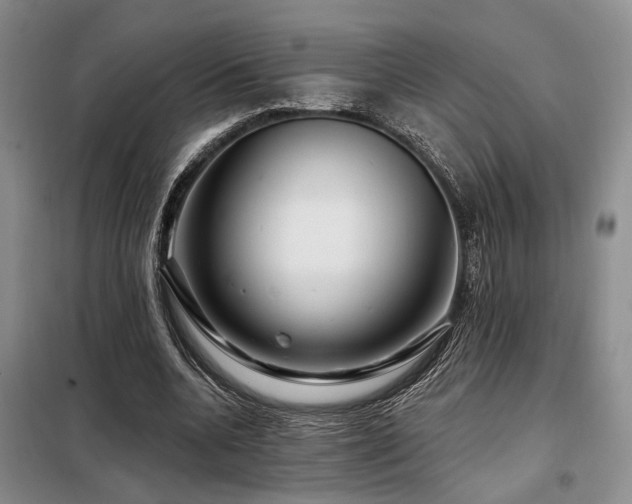 X0000098130536200804171524