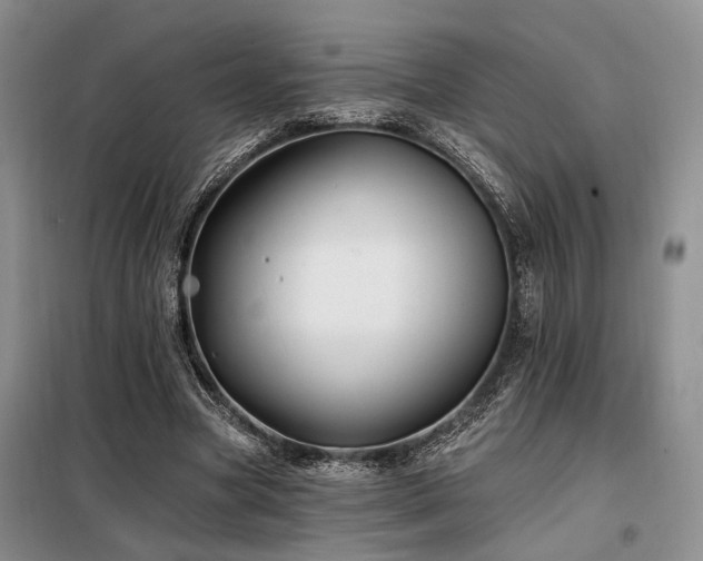 X0000098130537200804171524
