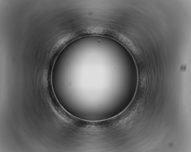 X0000098130538200804171524