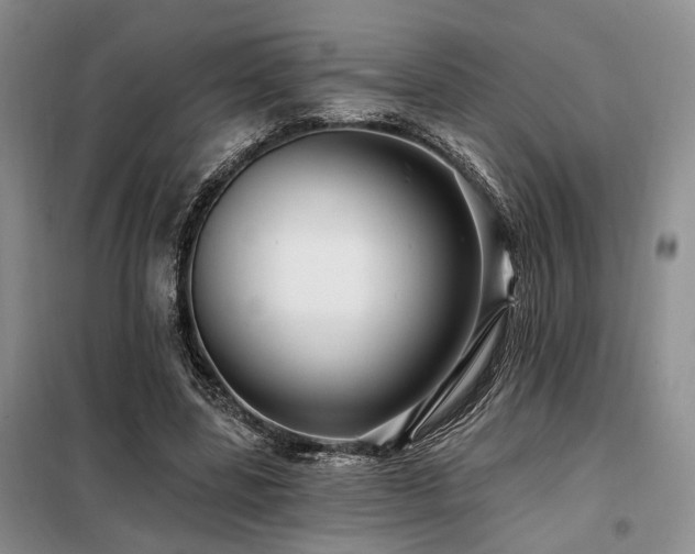 X0000098130539200804171524