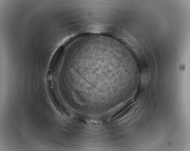 X0000098130540200804171524