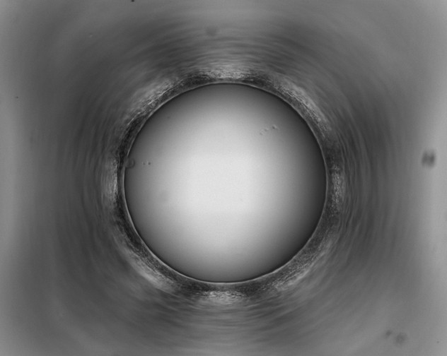 X0000098130541200804171524
