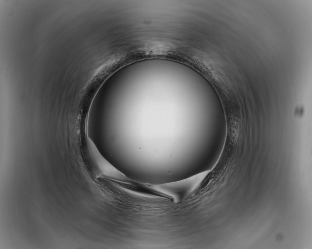X0000098130543200804171524
