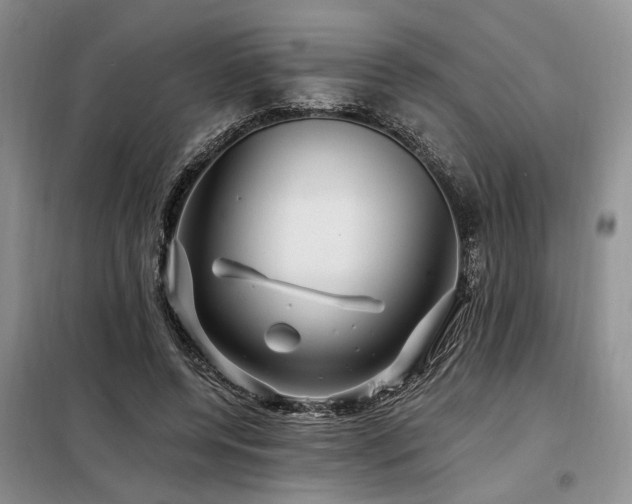 X0000098130544200804171524