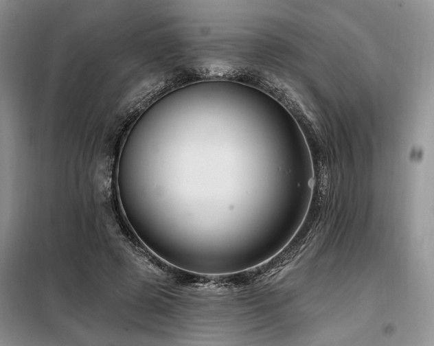 X0000098130545200804171524