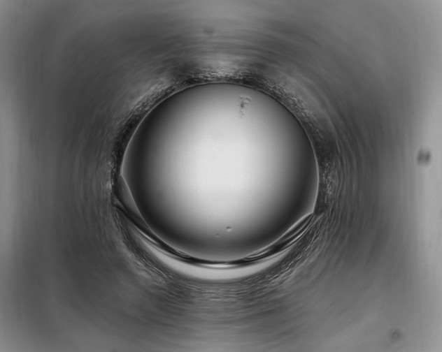 X0000098130546200804171524
